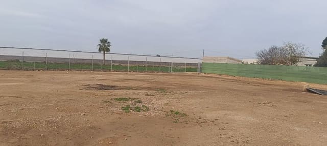 Undeveloped Land for sale in San Pedro del Pinatar ciudad, San Pedro del Pinatar - € 75,000 (Ref: 9977636)