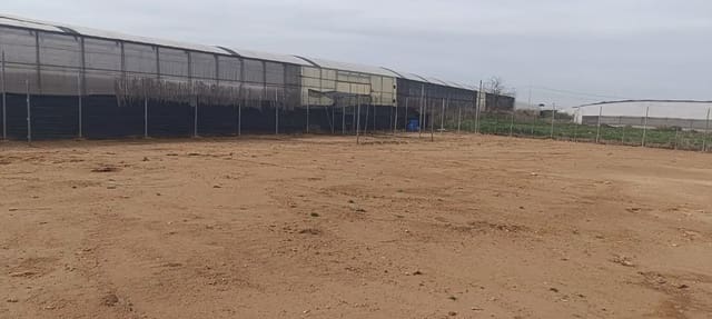 Undeveloped Land for sale in San Pedro del Pinatar ciudad, San Pedro del Pinatar - € 75,000 (Ref: 9977636)