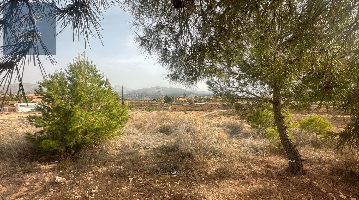 Undeveloped Land for sale in Aledo - € 59,900 (Ref: 10009546)