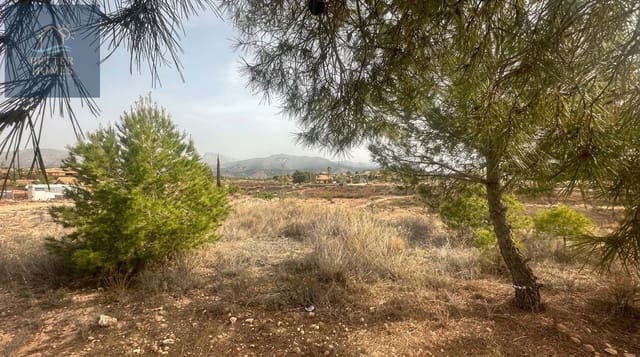 Undeveloped Land for sale in Aledo - € 59,900 (Ref: 10009546)