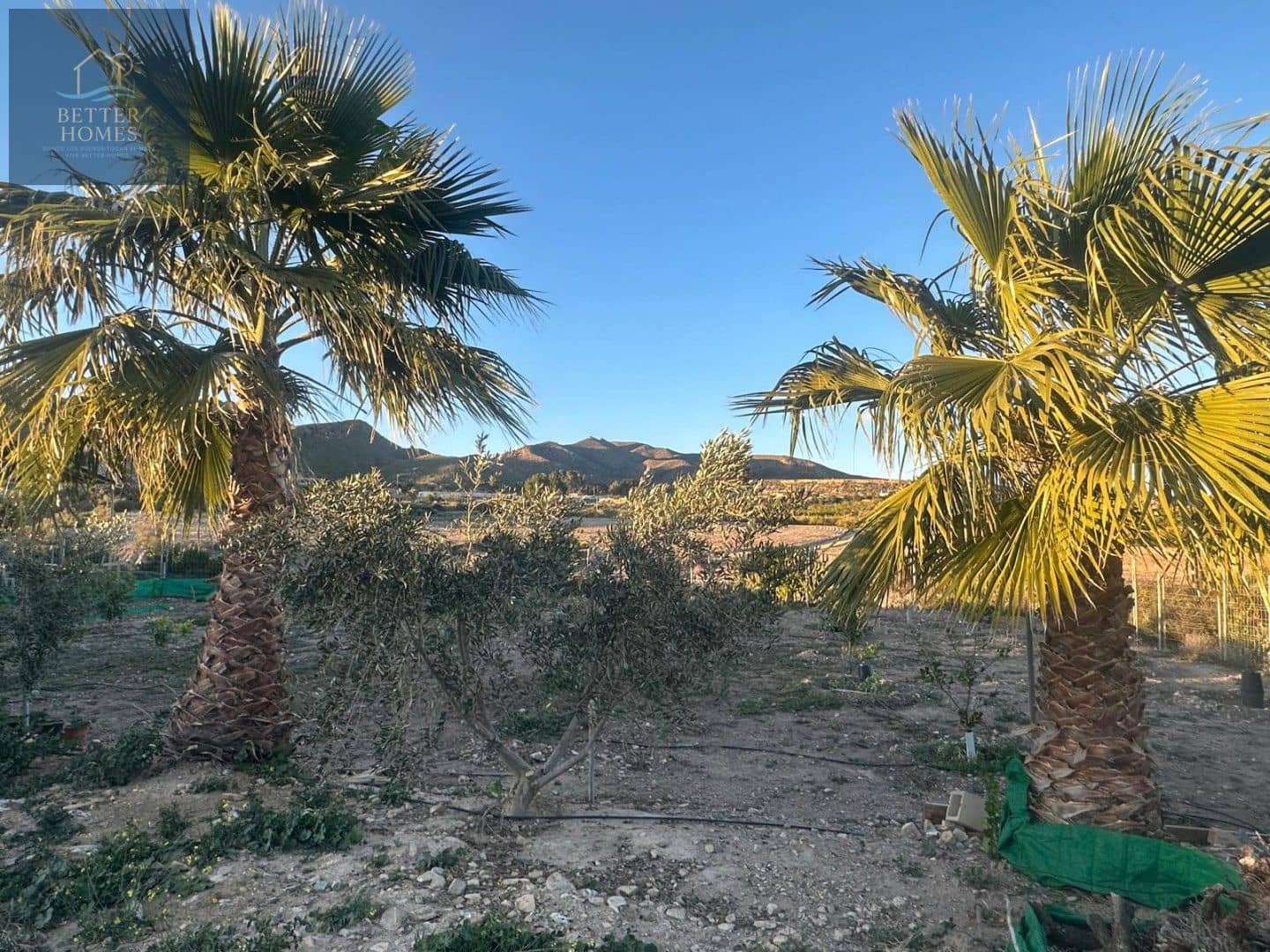 3 bedroom Villa for sale in La Majada with pool - € 369,900 (Ref: 10020072)