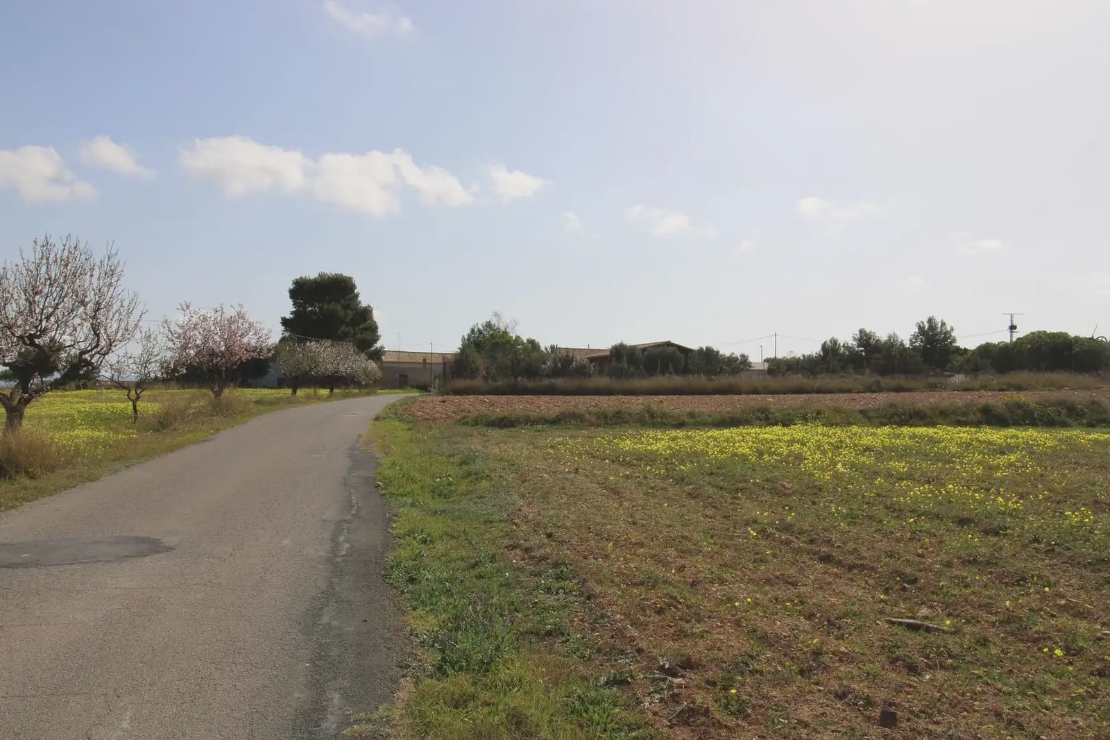 Terre non Aménagée à vendre à Oria - 16 900 € (Ref: 10007662)