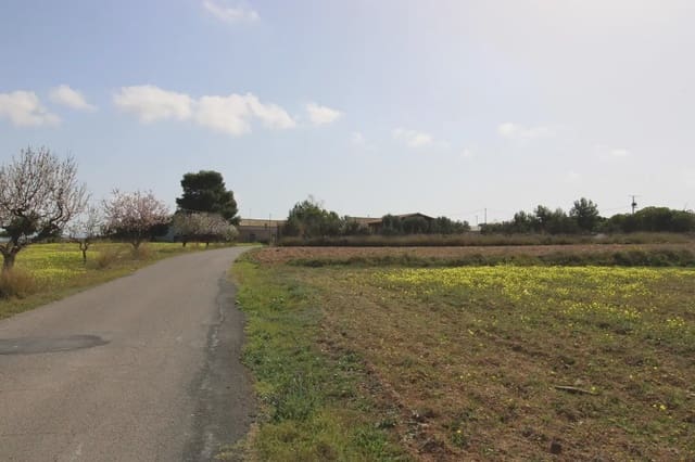 Terre non Aménagée à vendre à Oria - 16 900 € (Ref: 10007662)