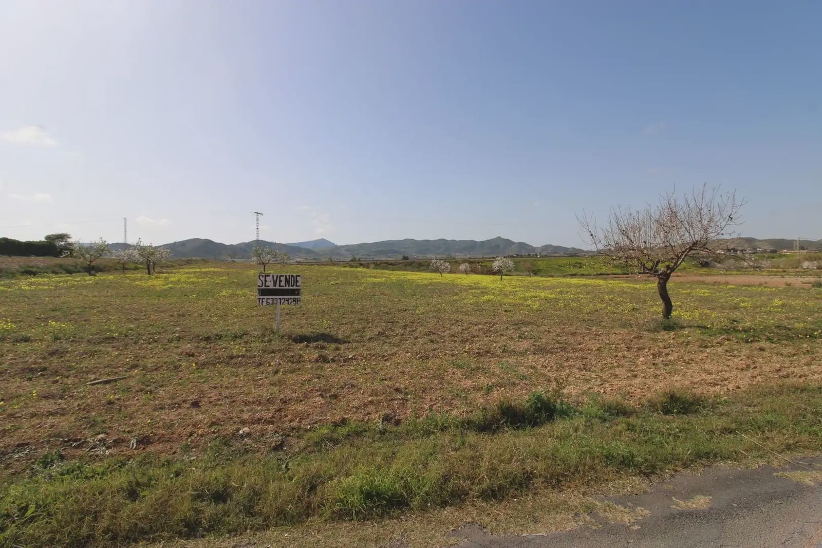 Terre non Aménagée à vendre à Oria - 16 900 € (Ref: 10007662)