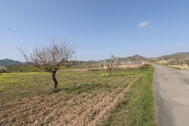 Terre non Aménagée à vendre à Oria - 16 900 € (Ref: 10007662)