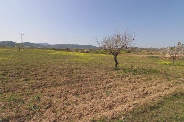 Terre non Aménagée à vendre à Oria - 16 900 € (Ref: 10007662)