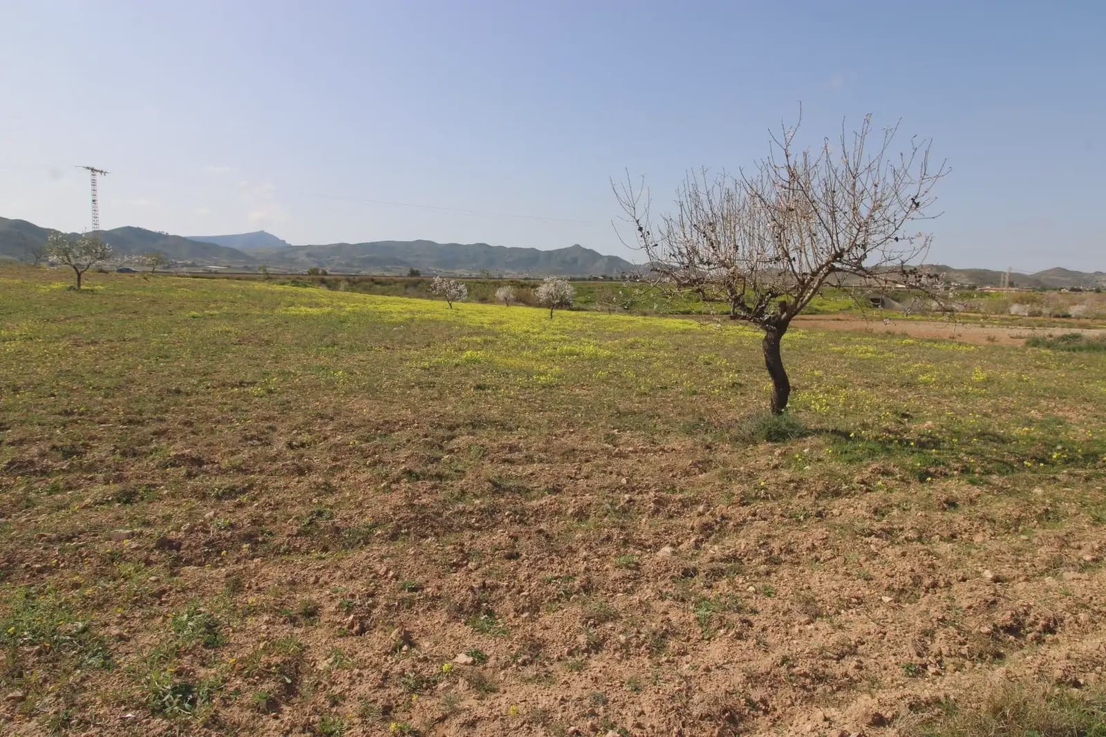 Terre non Aménagée à vendre à Oria - 16 900 € (Ref: 10007662)