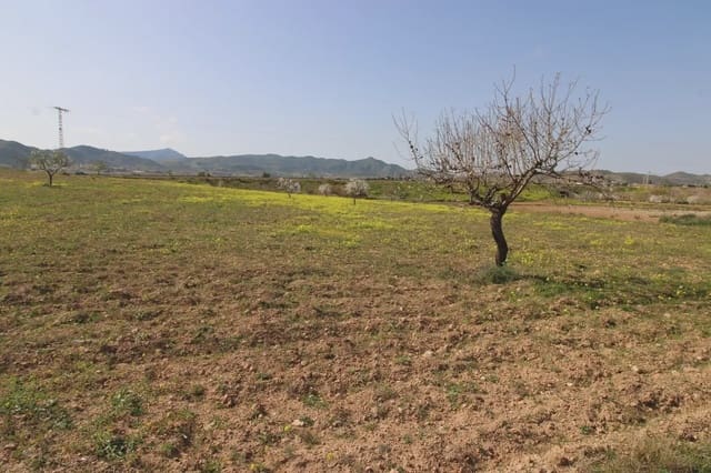Terre non Aménagée à vendre à Oria - 16 900 € (Ref: 10007662)