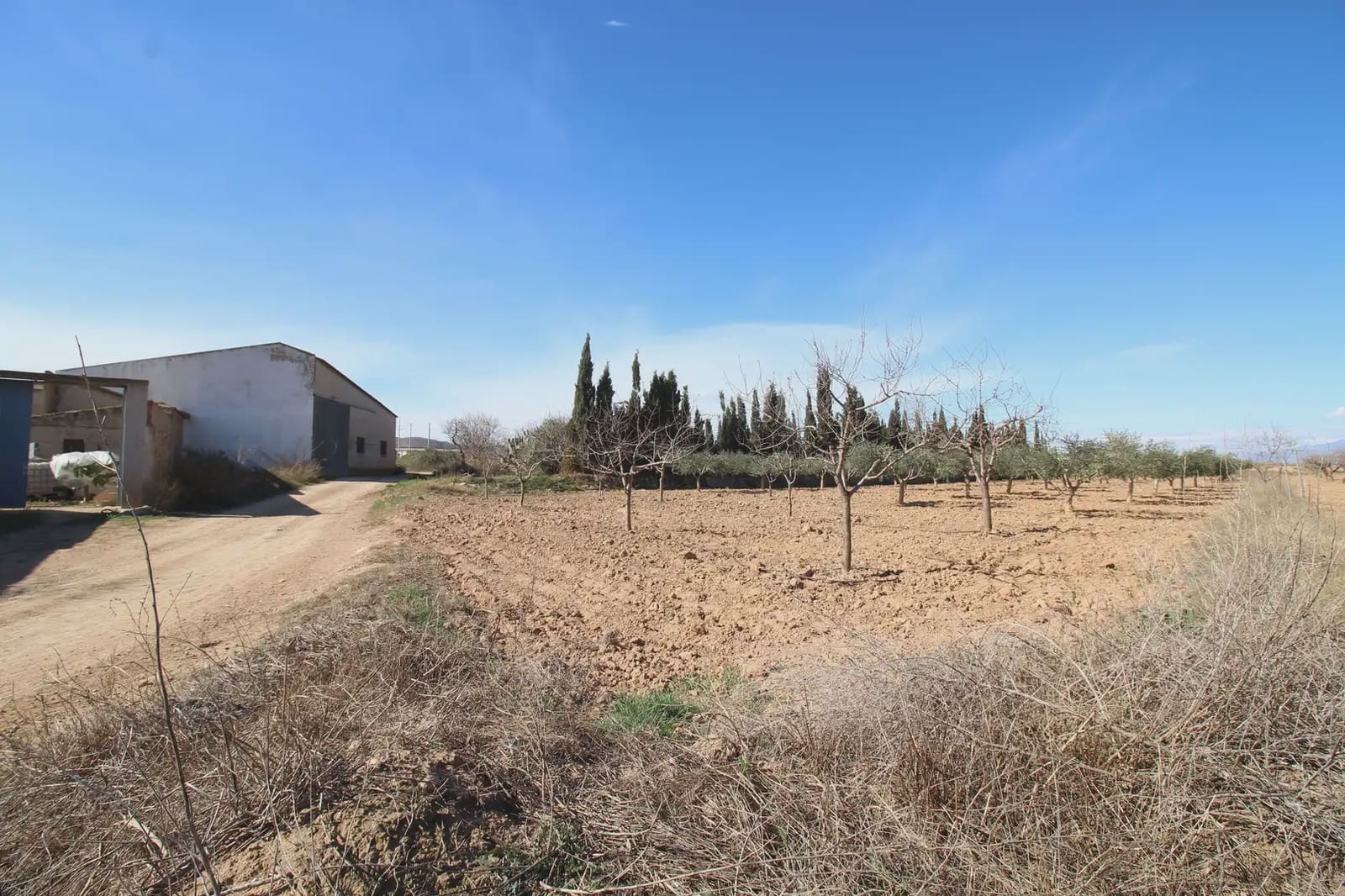 4 chambre Finca/Maison de Campagne à vendre à La Pinilla avec garage - 114 000 € (Ref: 10009371)