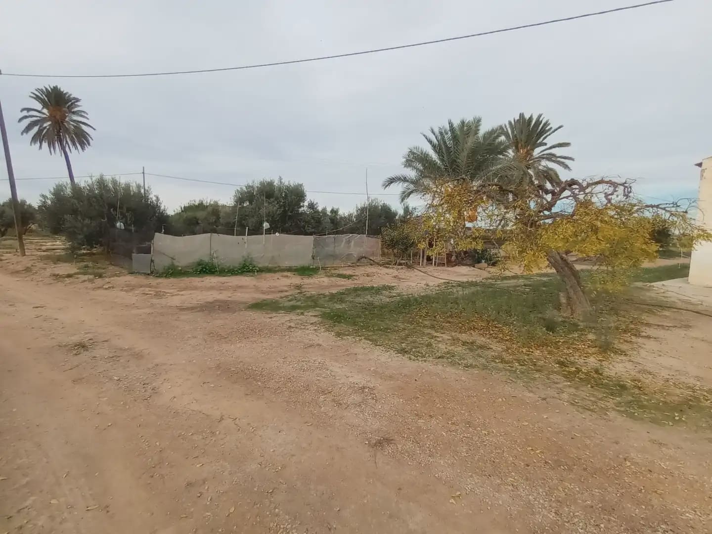 3 soveværelse Finca/Landehus til salg i Torre-Pacheco - € 400.000 (Ref: 10009376)