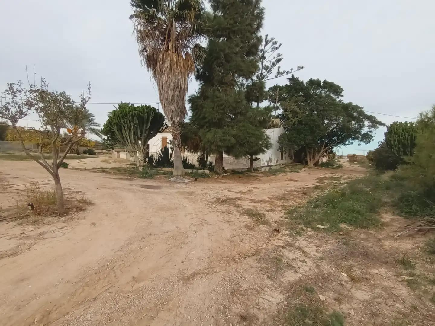 3 soveværelse Finca/Landehus til salg i Torre-Pacheco - € 400.000 (Ref: 10009376)