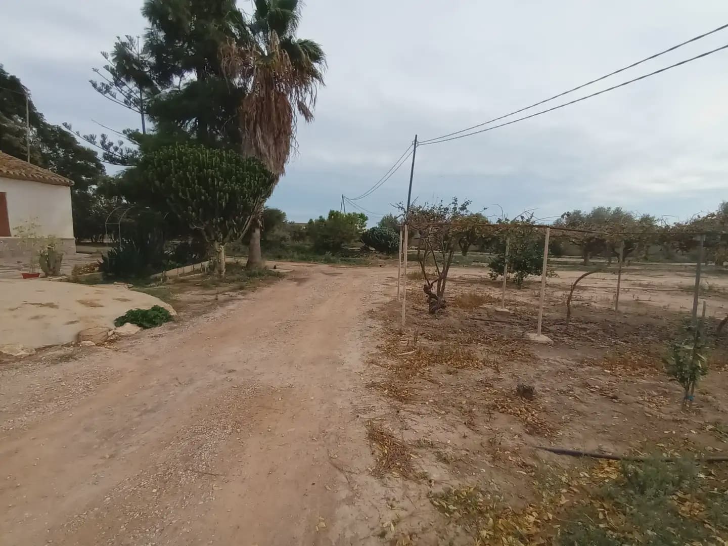 3 soveværelse Finca/Landehus til salg i Torre-Pacheco - € 400.000 (Ref: 10009376)