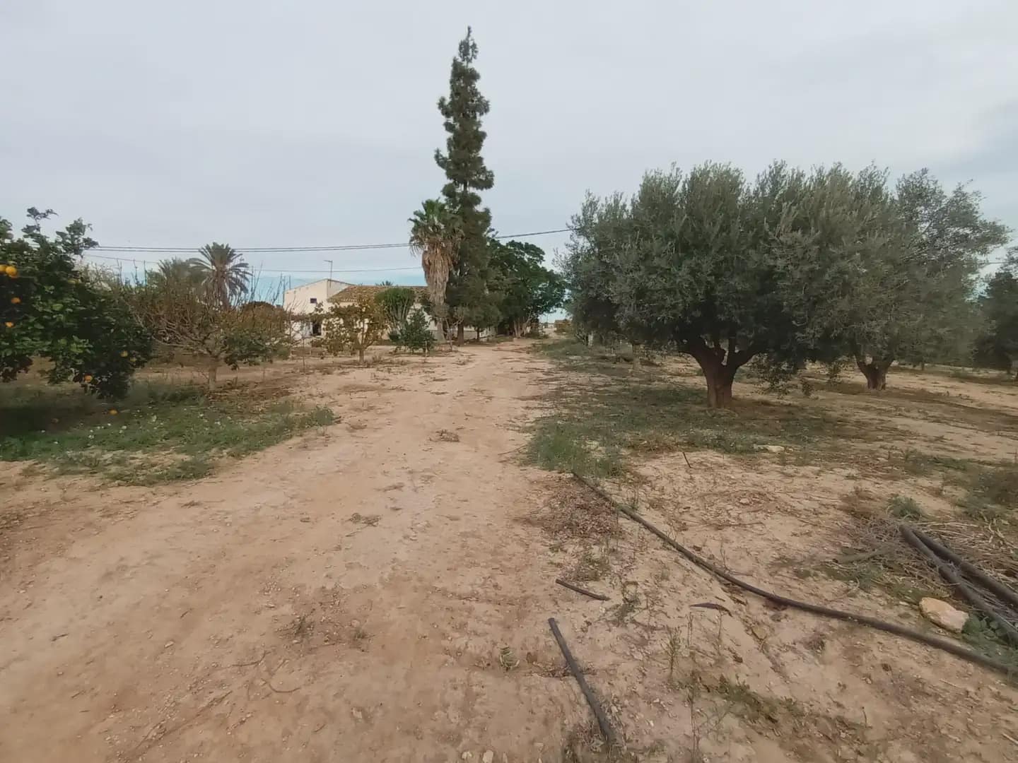3 soveværelse Finca/Landehus til salg i Torre-Pacheco - € 400.000 (Ref: 10009376)