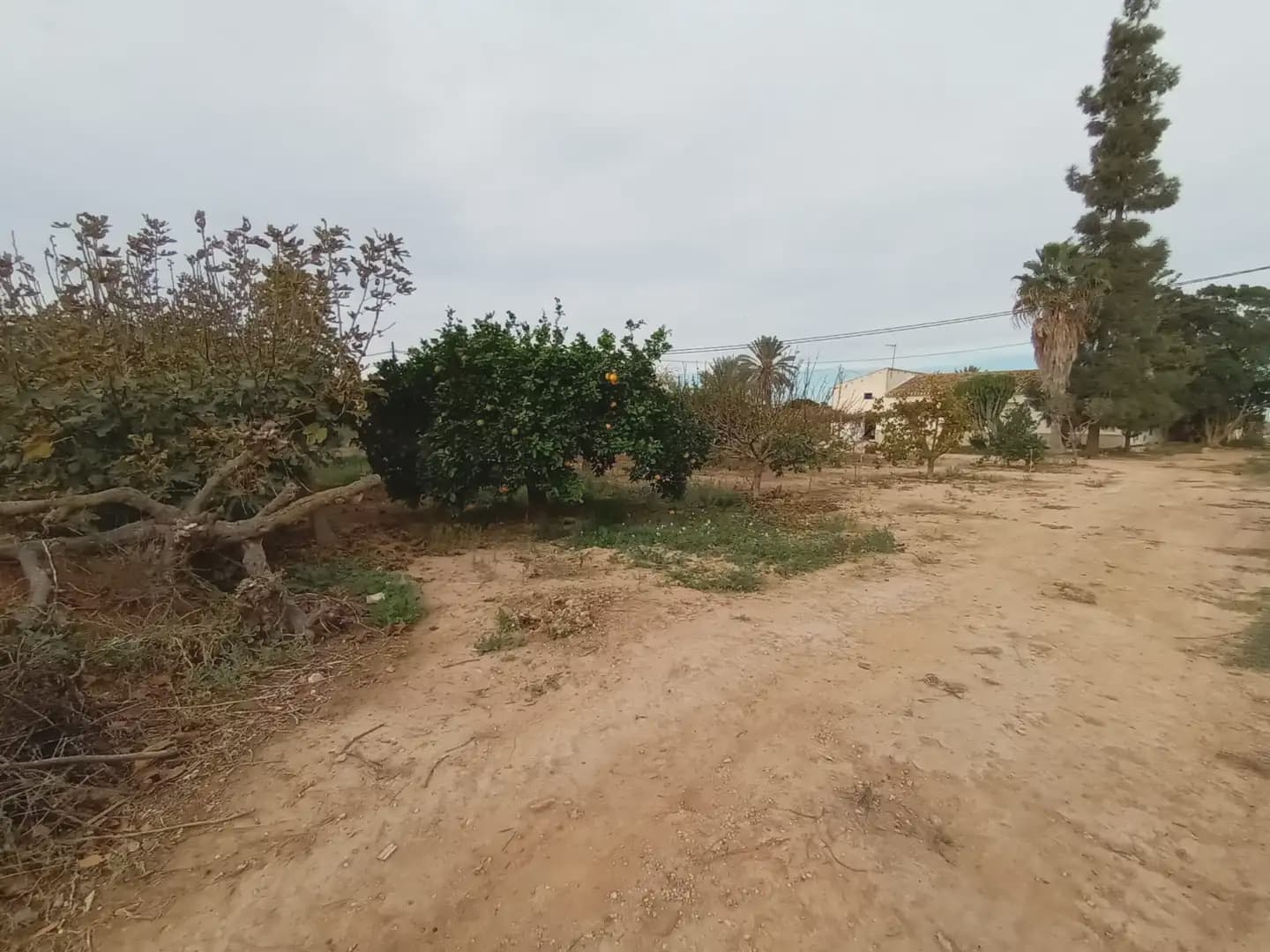 3 soveværelse Finca/Landehus til salg i Torre-Pacheco - € 400.000 (Ref: 10009376)