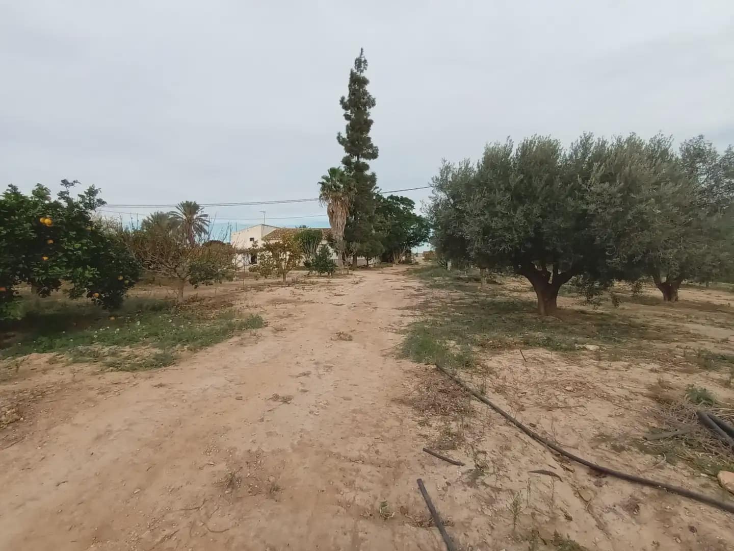 3 soveværelse Finca/Landehus til salg i Torre-Pacheco - € 400.000 (Ref: 10009376)
