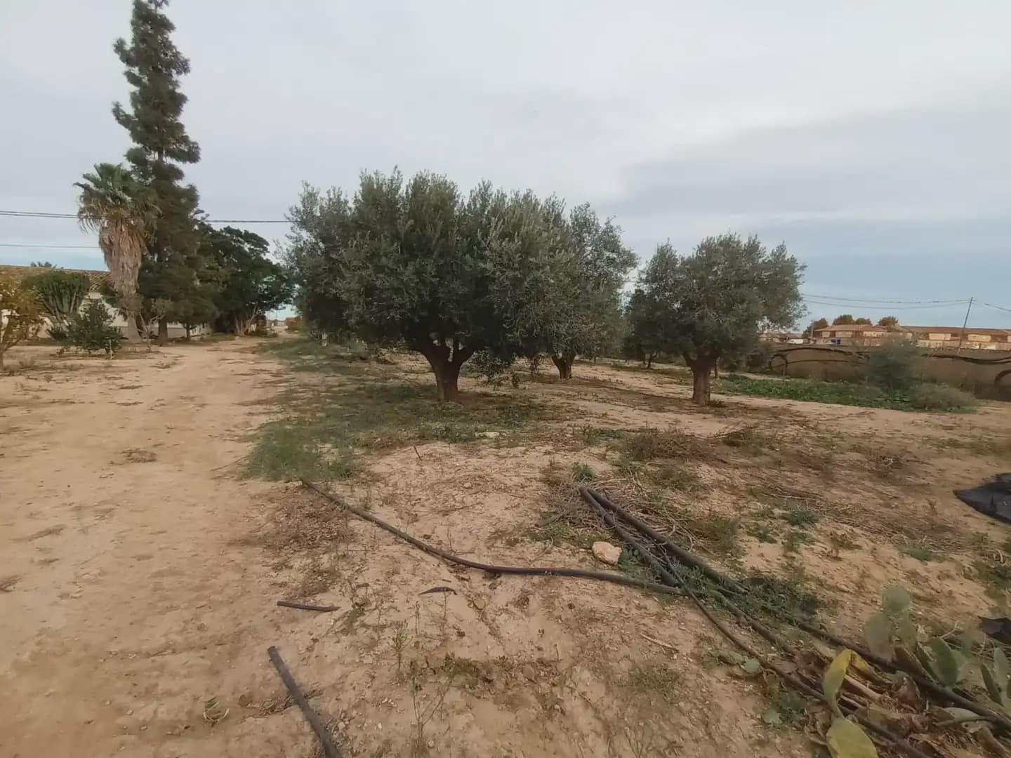 3 soveværelse Finca/Landehus til salg i Torre-Pacheco - € 400.000 (Ref: 10009376)