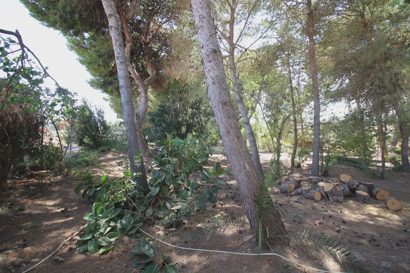 5 bedroom Finca/Country House for sale in Cartagena with pool - € 550,000 (Ref: 10009377)