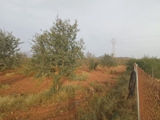 Teren niezagospodarowany na sprzedaż w La Aljorra, Kartagena - 31 000 € (Ref: 10009379)
