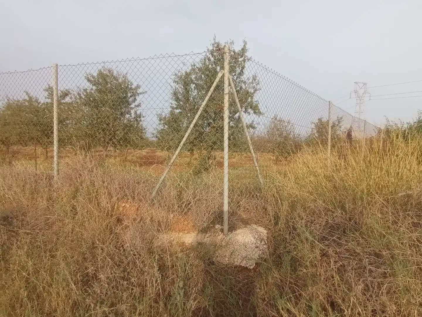 Teren niezagospodarowany na sprzedaż w La Aljorra - 31 000 € (Ref: 10009379)