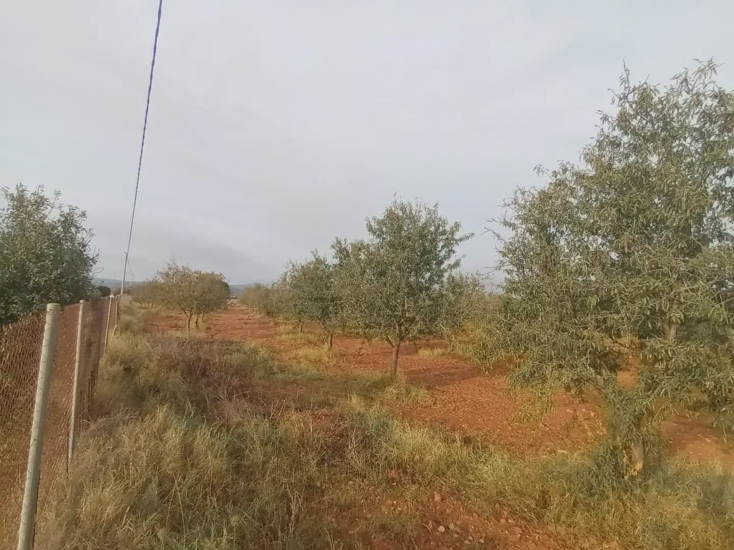 Teren niezagospodarowany na sprzedaż w La Aljorra - 31 000 € (Ref: 10009379)
