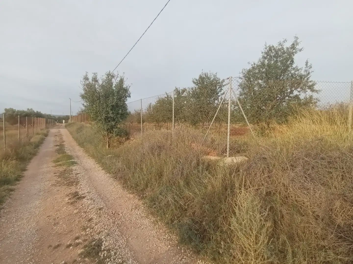 Teren niezagospodarowany na sprzedaż w La Aljorra - 31 000 € (Ref: 10009379)