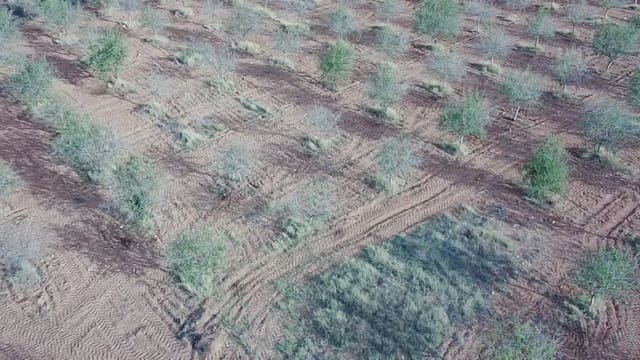 Teren niezagospodarowany na sprzedaż w La Aljorra, Kartagena - 31 000 € (Ref: 10009379)