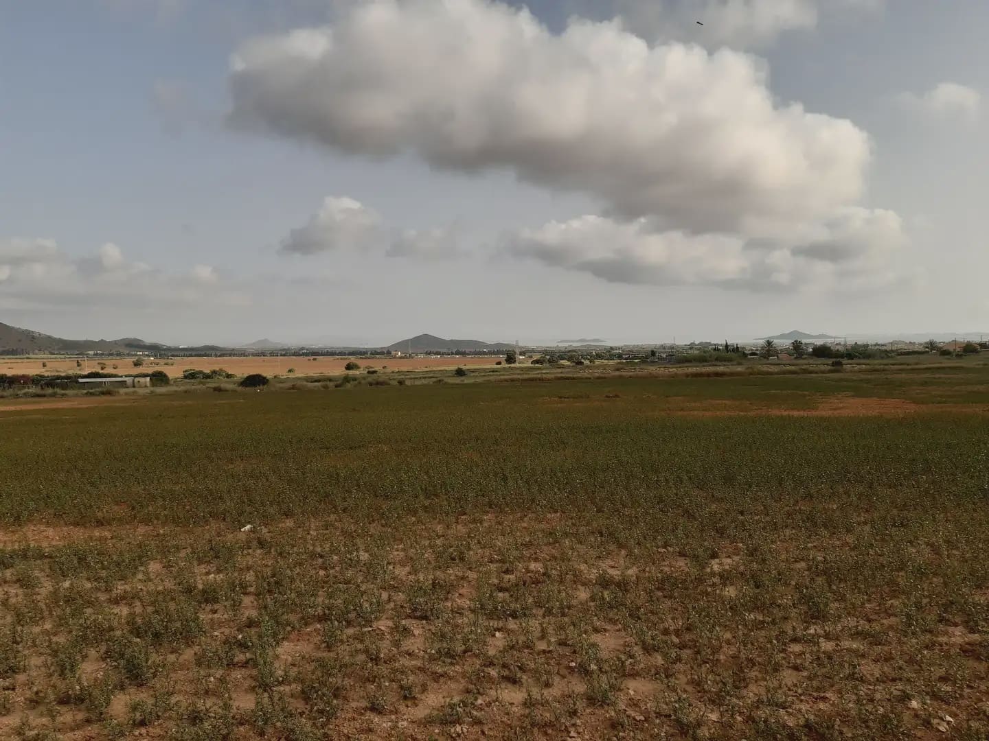 Tomt till salu i Las Barracas - 490 000 € (Ref: 10009384)