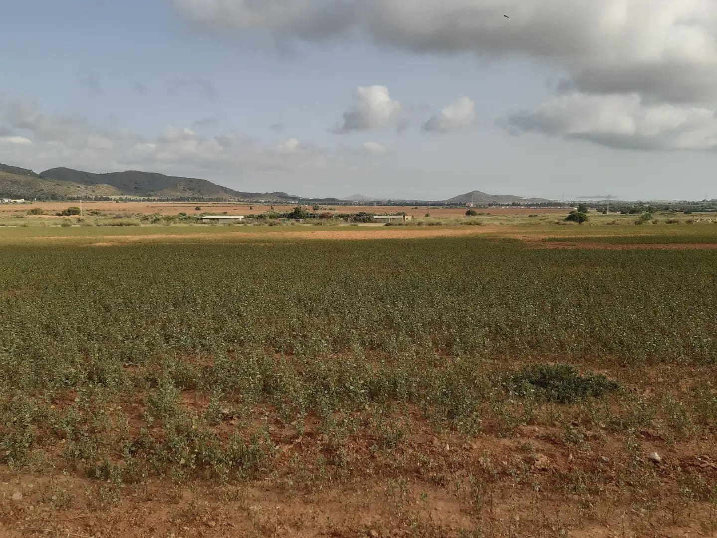 Tomt till salu i Las Barracas - 490 000 € (Ref: 10009384)