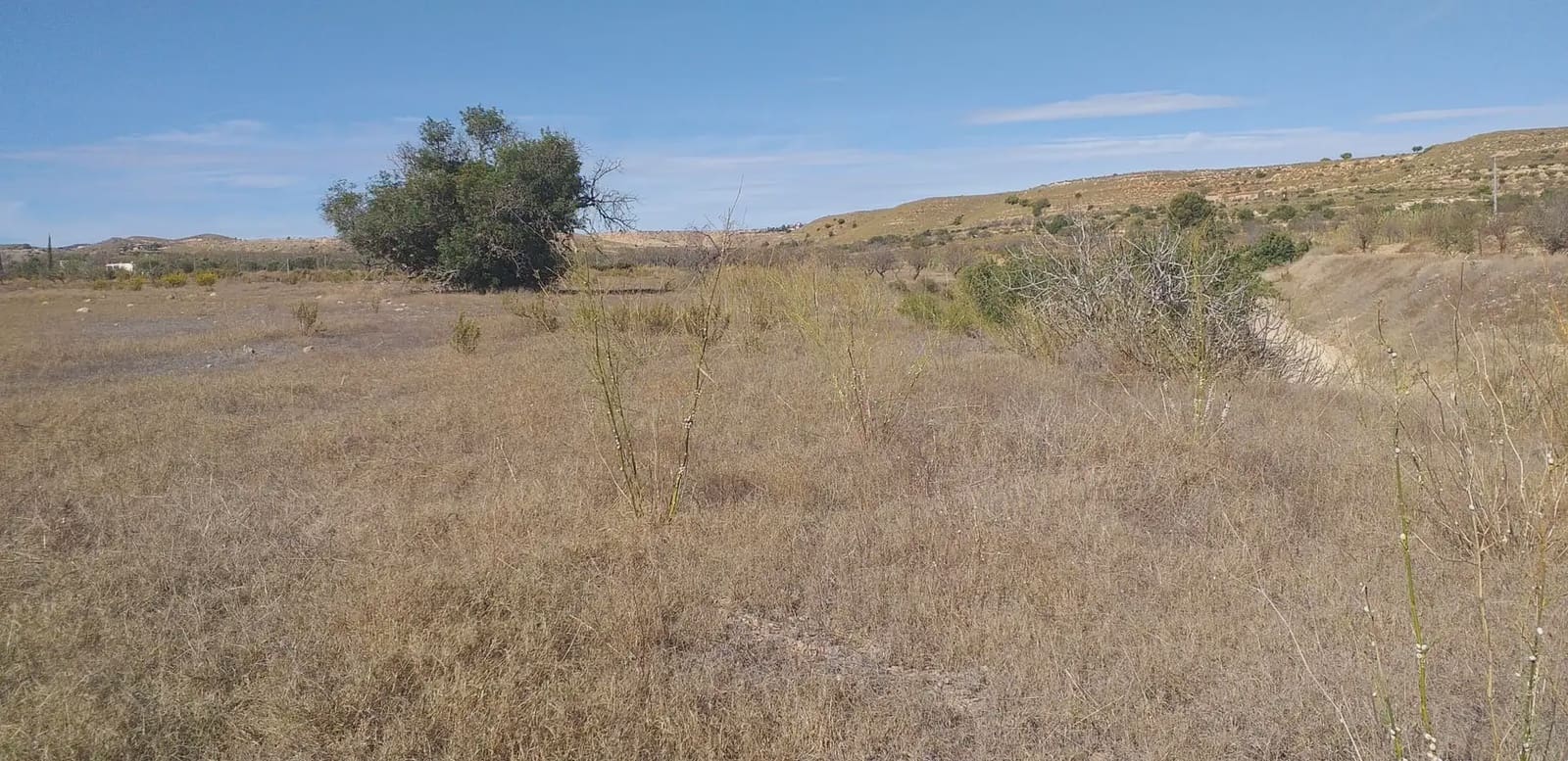 Mark till salu i Cuesta Blanca - 32 000 € (Ref: 10009388)