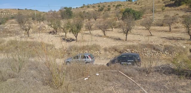 Mark till salu i Cuesta Blanca, Cartagena - 32 000 € (Ref: 10009388)