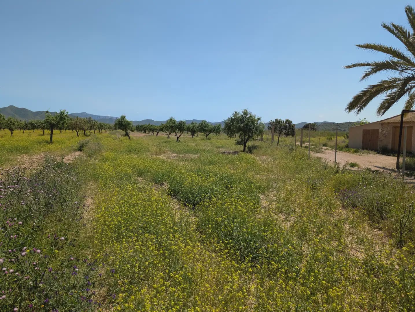 2 quarto Quinta/Casa Rural para venda em Cartagena com garagem - 75 000 € (Ref: 10009390)