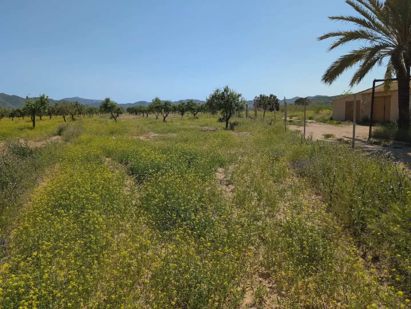 2 quarto Quinta/Casa Rural para venda em Cartagena com garagem - 75 000 € (Ref: 10009390)