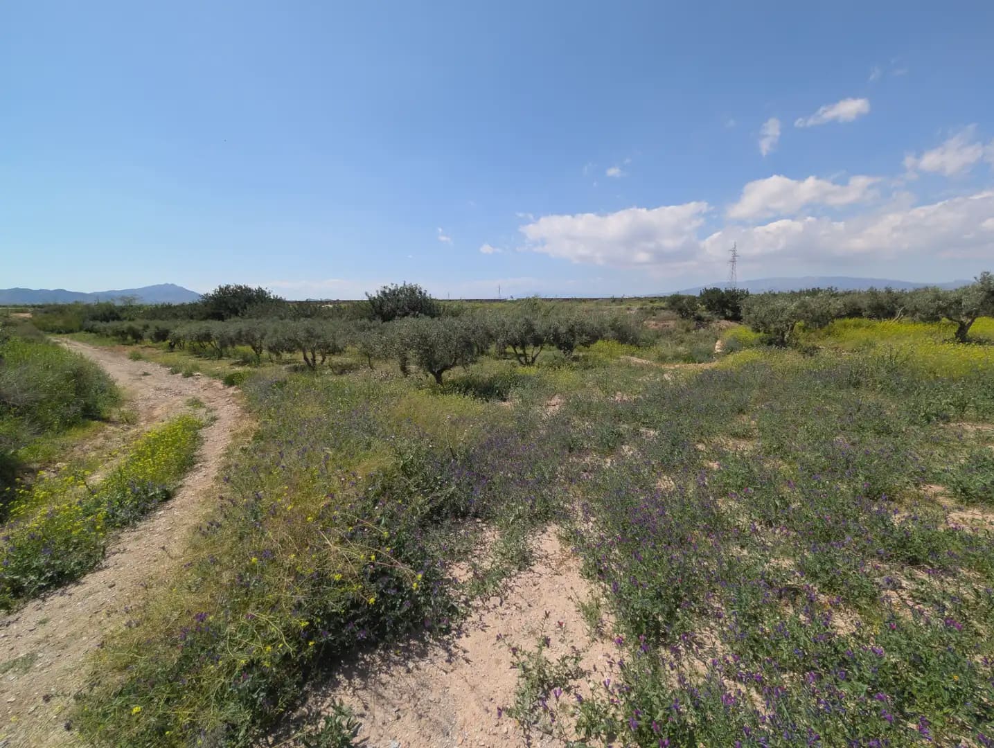 2 quarto Quinta/Casa Rural para venda em Cartagena com garagem - 75 000 € (Ref: 10009390)