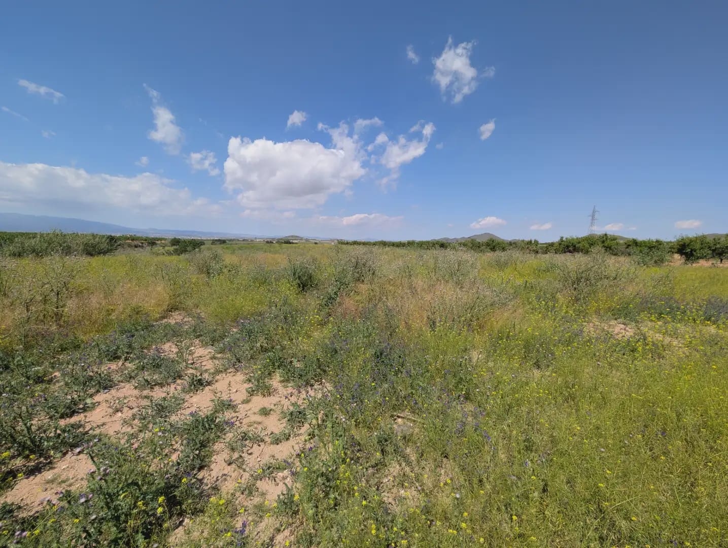 2 quarto Quinta/Casa Rural para venda em Cartagena com garagem - 75 000 € (Ref: 10009390)