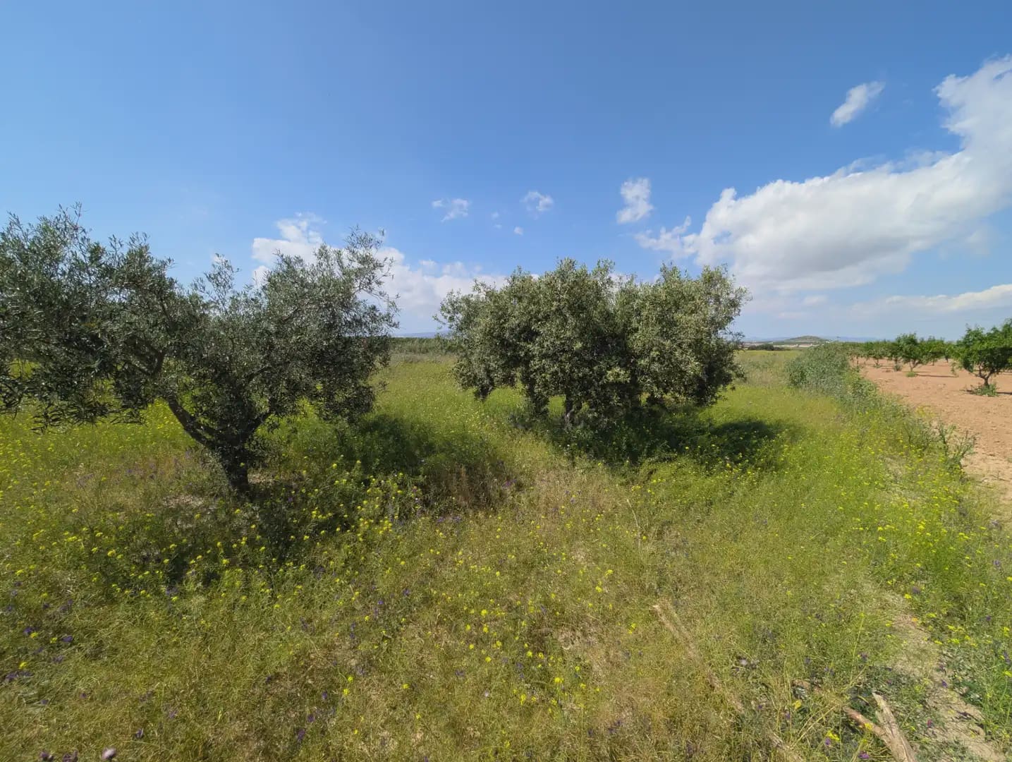 2 quarto Quinta/Casa Rural para venda em Cartagena com garagem - 75 000 € (Ref: 10009390)