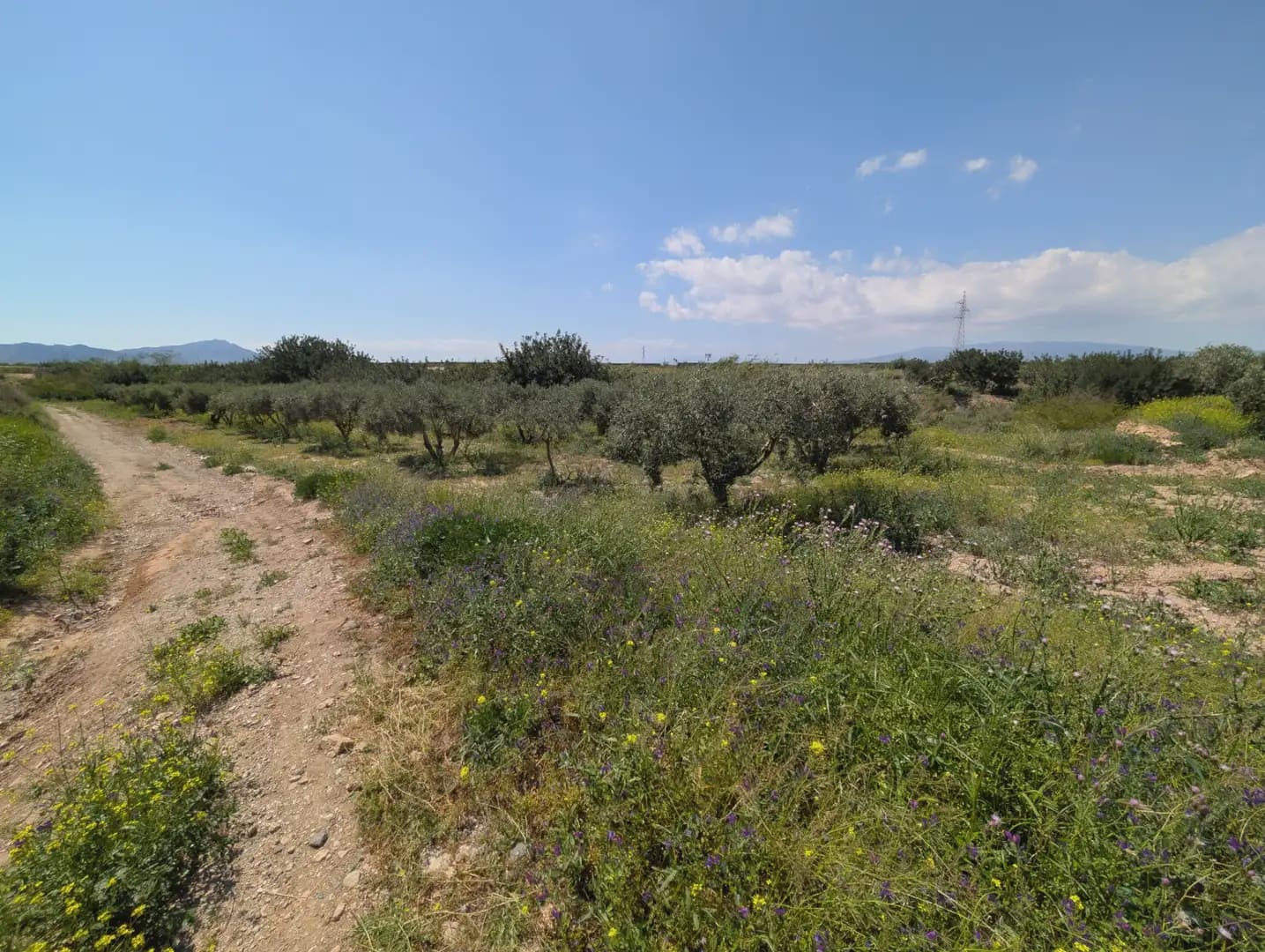 2 quarto Quinta/Casa Rural para venda em Cartagena com garagem - 75 000 € (Ref: 10009390)