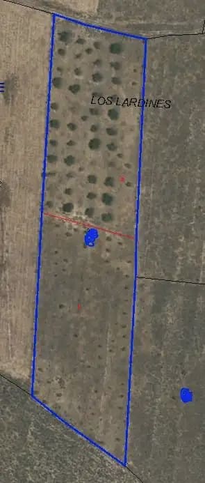 Teren niezagospodarowany na sprzedaż w Fuente Alamo de Murcia - 25 000 € (Ref: 10009394)