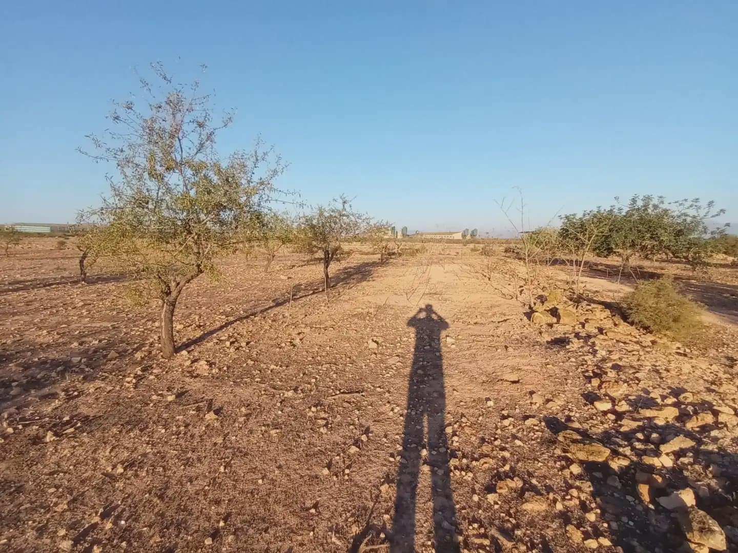 Teren niezagospodarowany na sprzedaż w Fuente Alamo de Murcia - 25 000 € (Ref: 10009394)