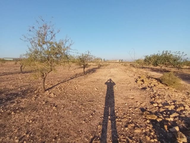 Rakentamaton maa myytävänä paikassa Fuente Alamo de Murcia - 25 000 € (Ref: 10009394)