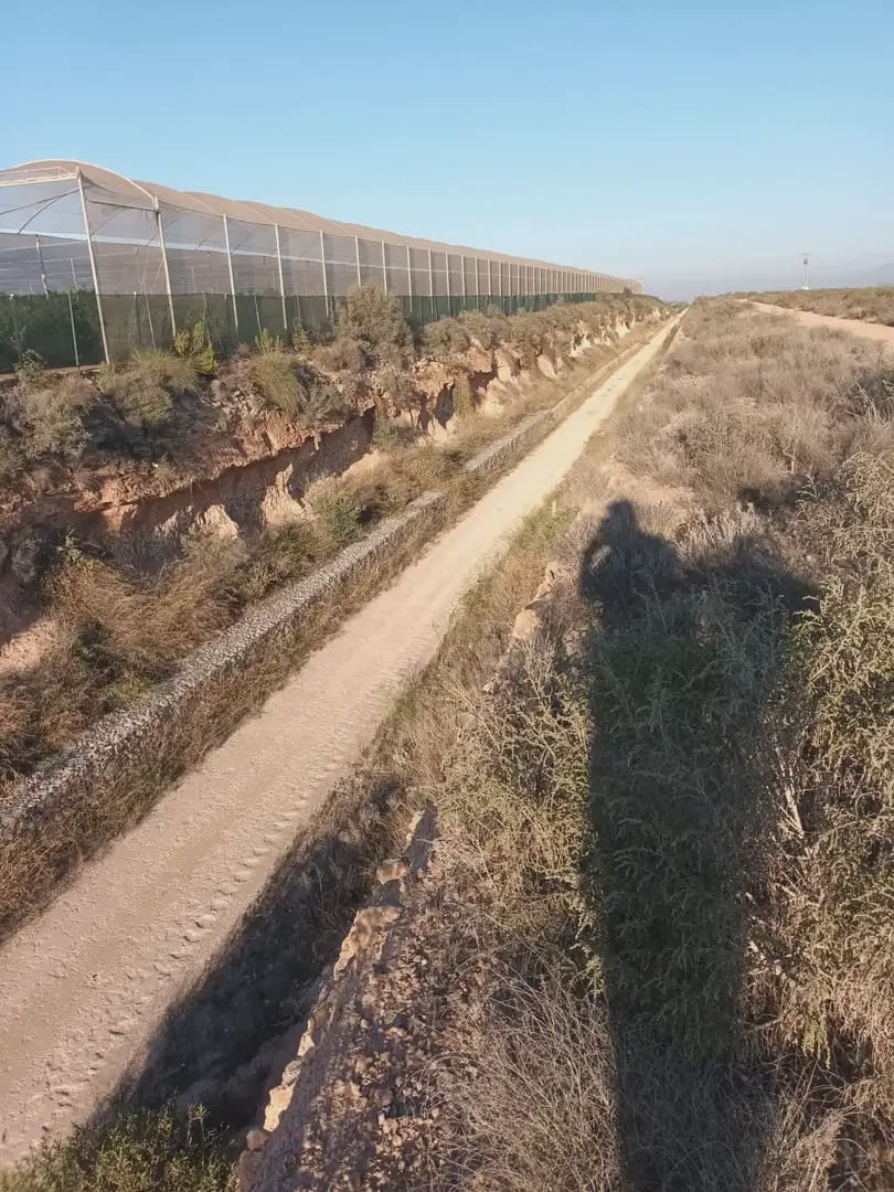 Teren niezagospodarowany na sprzedaż w Fuente Alamo de Murcia - 25 000 € (Ref: 10009394)