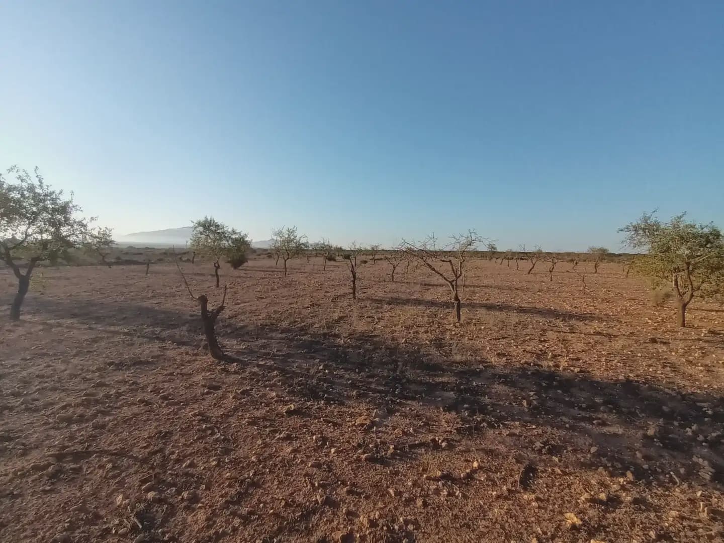 Teren niezagospodarowany na sprzedaż w Fuente Alamo de Murcia - 25 000 € (Ref: 10009394)