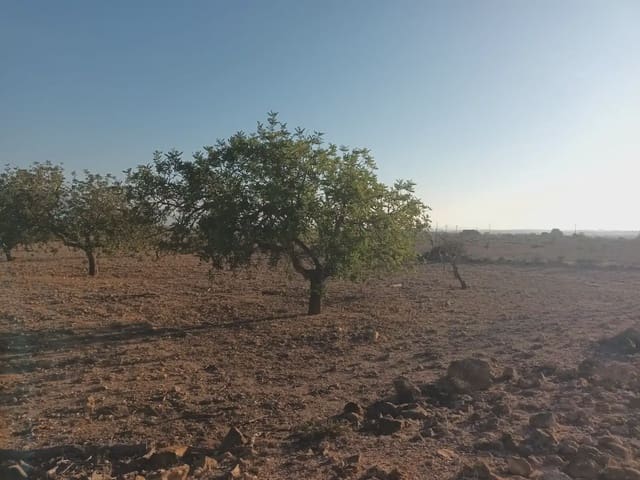 Rakentamaton maa myytävänä paikassa Fuente Alamo de Murcia - 25 000 € (Ref: 10009394)