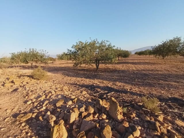Rakentamaton maa myytävänä paikassa Fuente Alamo de Murcia - 25 000 € (Ref: 10009394)