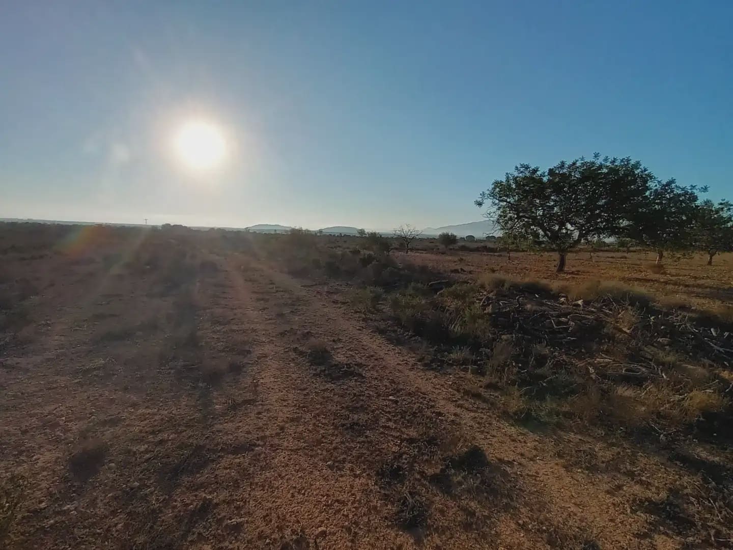 Teren niezagospodarowany na sprzedaż w Fuente Alamo de Murcia - 25 000 € (Ref: 10009394)