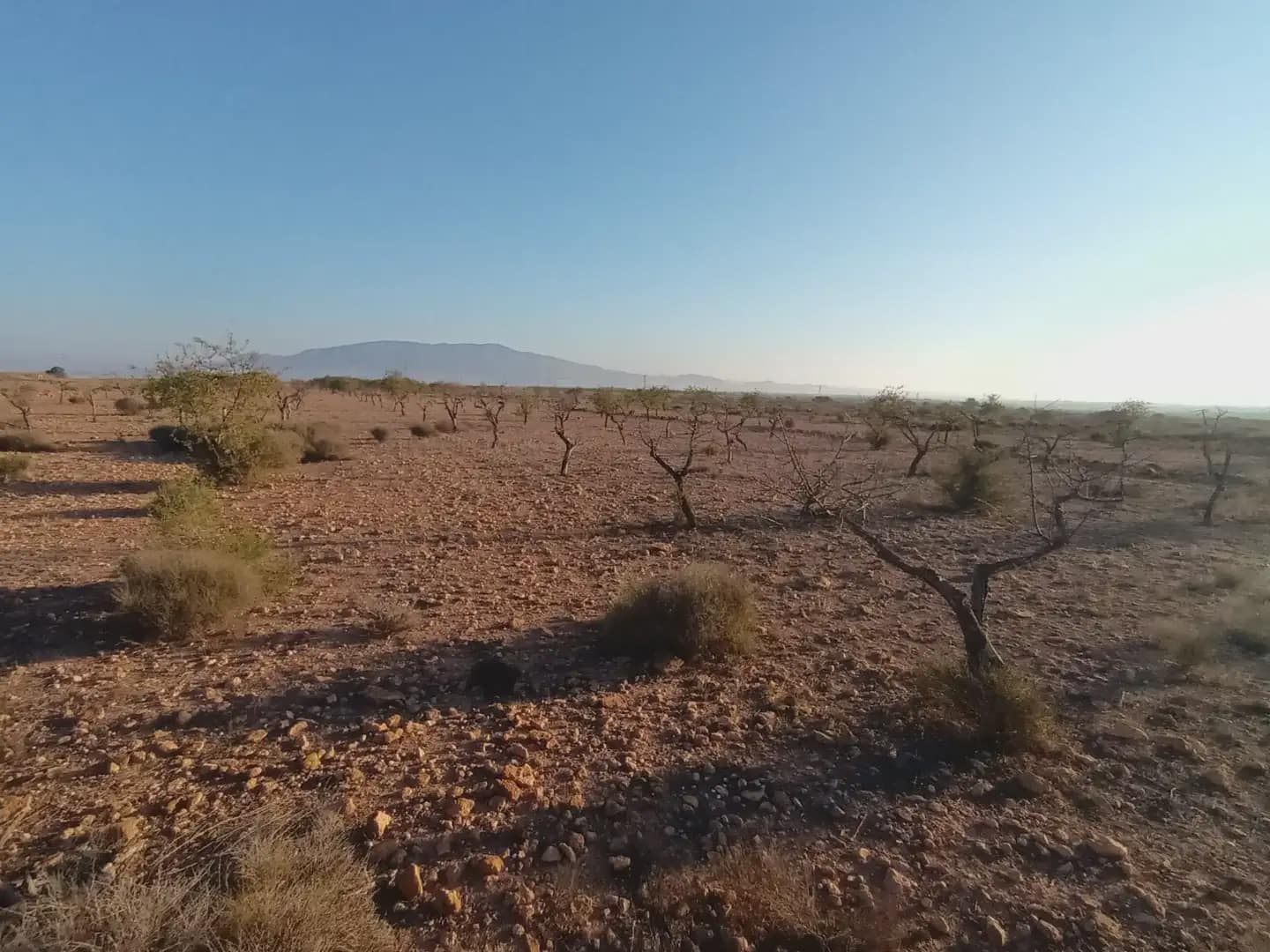 Teren niezagospodarowany na sprzedaż w Fuente Alamo de Murcia - 25 000 € (Ref: 10009394)