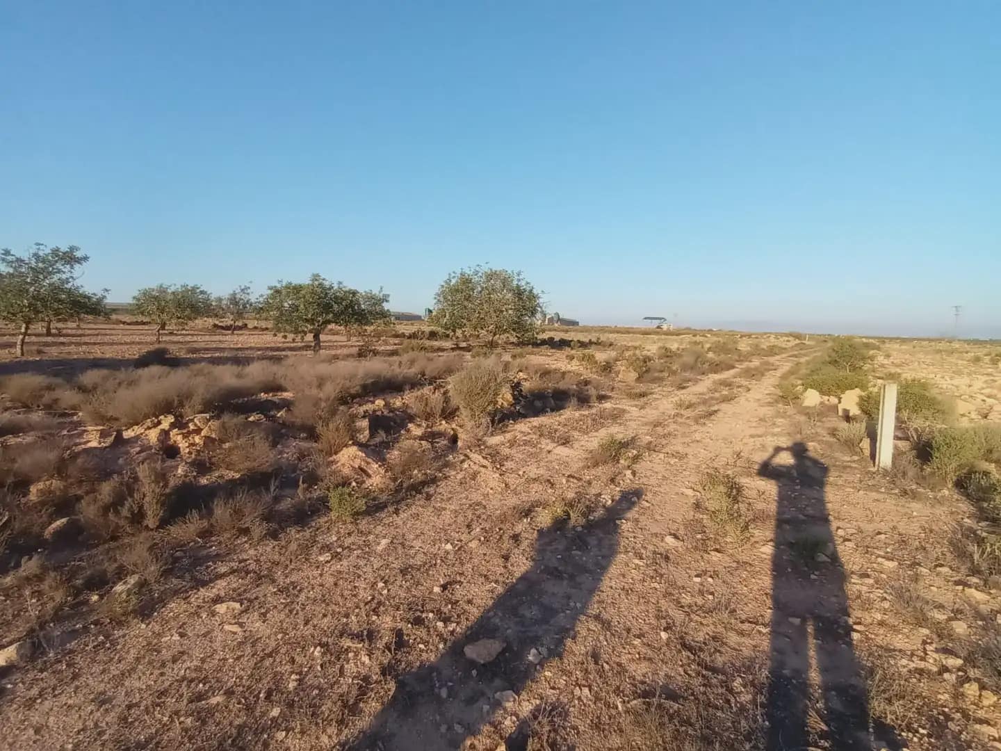 Teren niezagospodarowany na sprzedaż w Fuente Alamo de Murcia - 25 000 € (Ref: 10009394)
