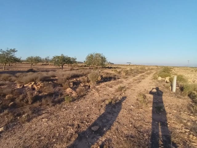 Rakentamaton maa myytävänä paikassa Fuente Alamo de Murcia - 25 000 € (Ref: 10009394)