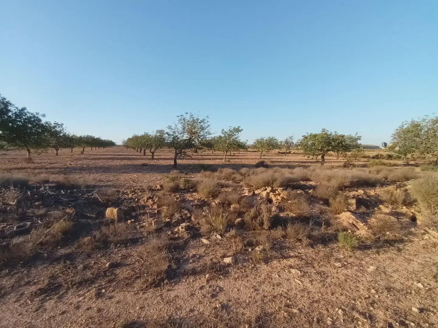Teren niezagospodarowany na sprzedaż w Fuente Alamo de Murcia - 25 000 € (Ref: 10009394)