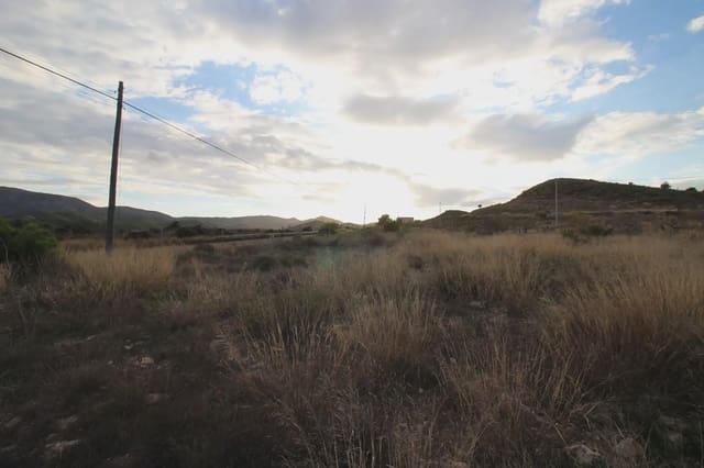 Mark till salu i Perin, Cartagena - 45 000 € (Ref: 10009401)