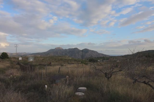 Mark till salu i Perin, Cartagena - 45 000 € (Ref: 10009401)